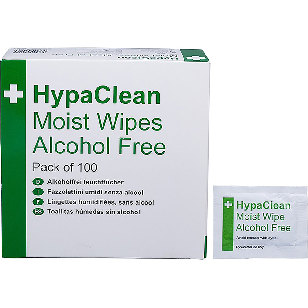 HypaClean Moist Wipes
